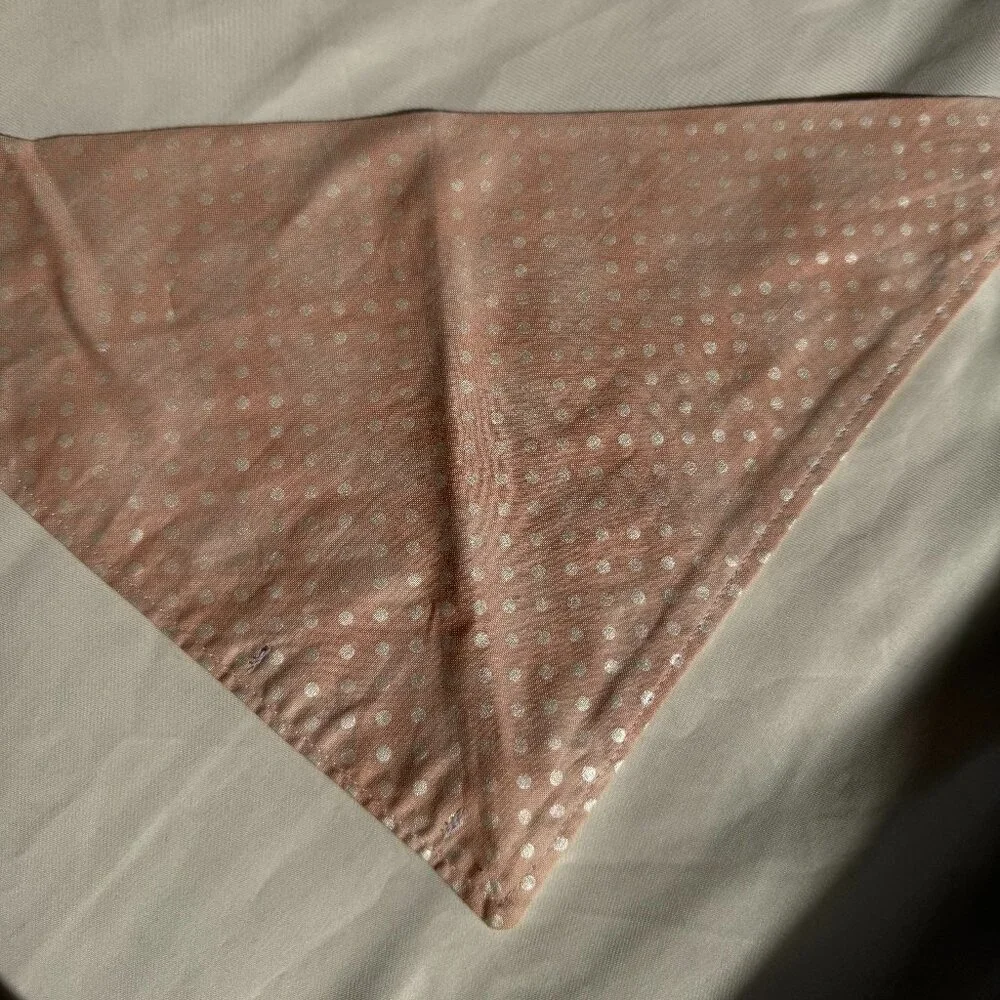 EUC, Canoodle Polka Dot Pattern Dog Bandana, White and Pink, Size M